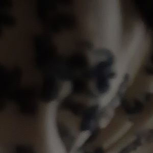 Meet your Posher, Sophie